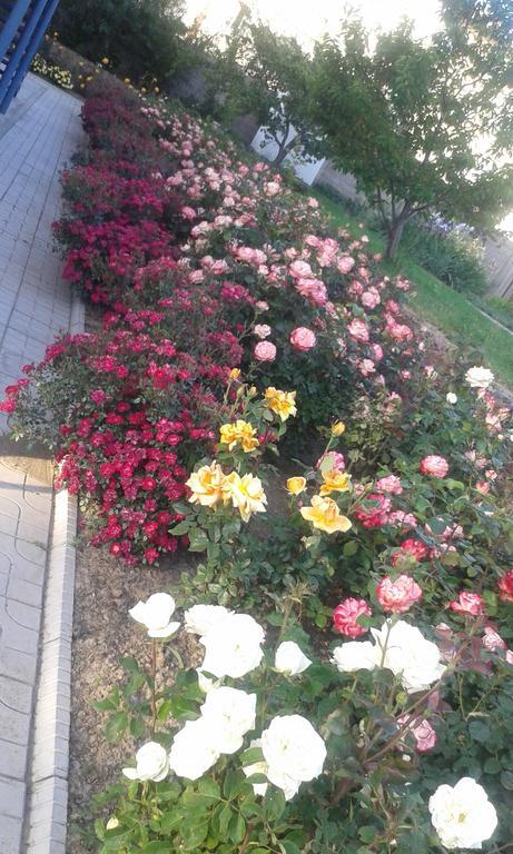 Amir Hotel Karakol Luaran gambar